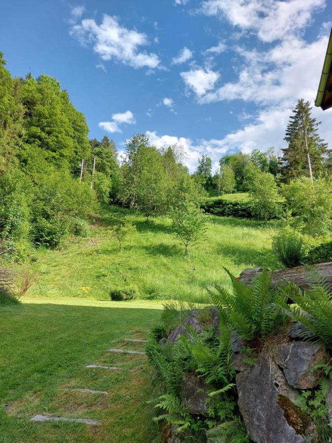 Chalet Peter Zell am See Esterno foto